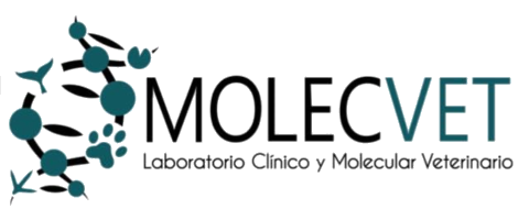 Molecvet, laboratorio clínico y molecular veterinario