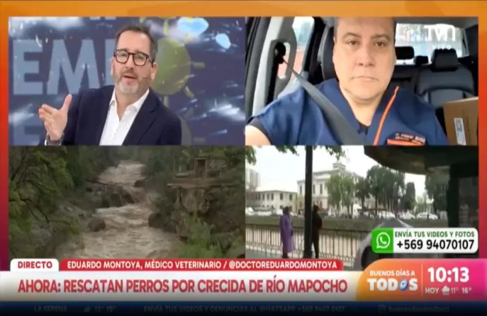 Captura de la transmisión de Buenos Días a Todos (TVN): el conductor en estudio y el veterinario invitado conectado desde un vehículo, junto a imágenes del río Mapocho con su cauce crecido.