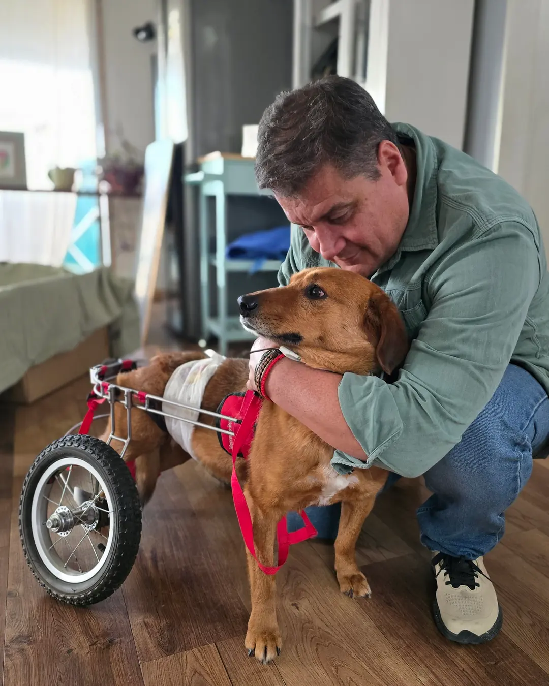 Un hombre se agacha y abraza con cuidado a un perro canela que usa una silla de ruedas ortopédica, dentro de una casa con piso de madera.