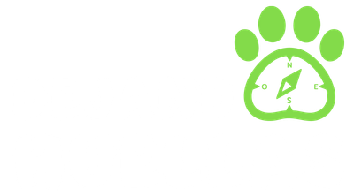 Dejando Huellas, inicio